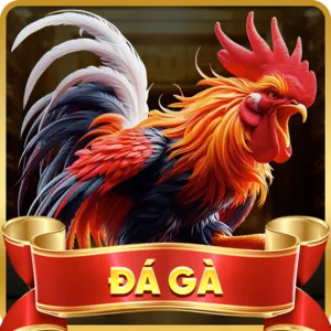 Đá gà trực tuyến